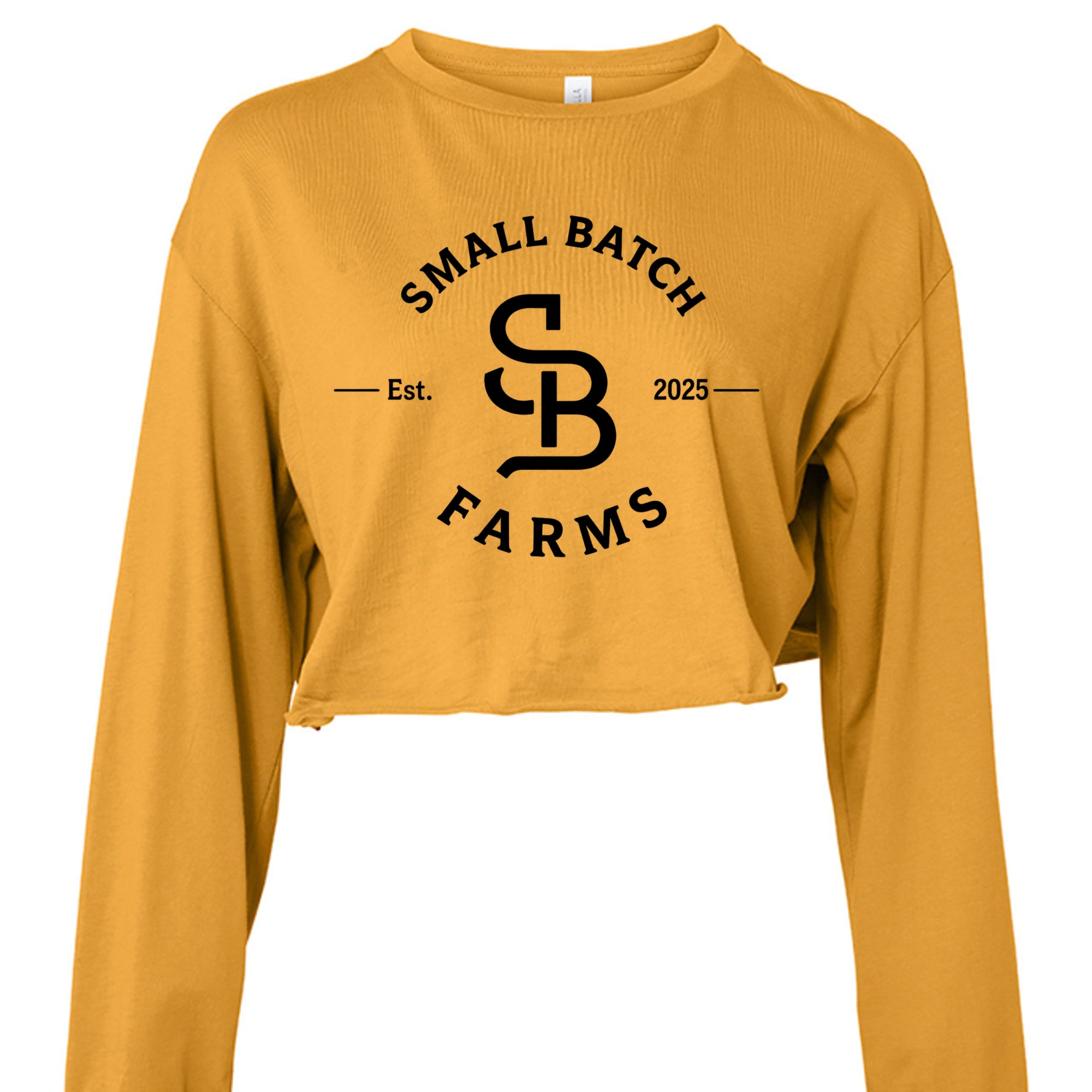 MUSTARD - 6501B - FRONT
