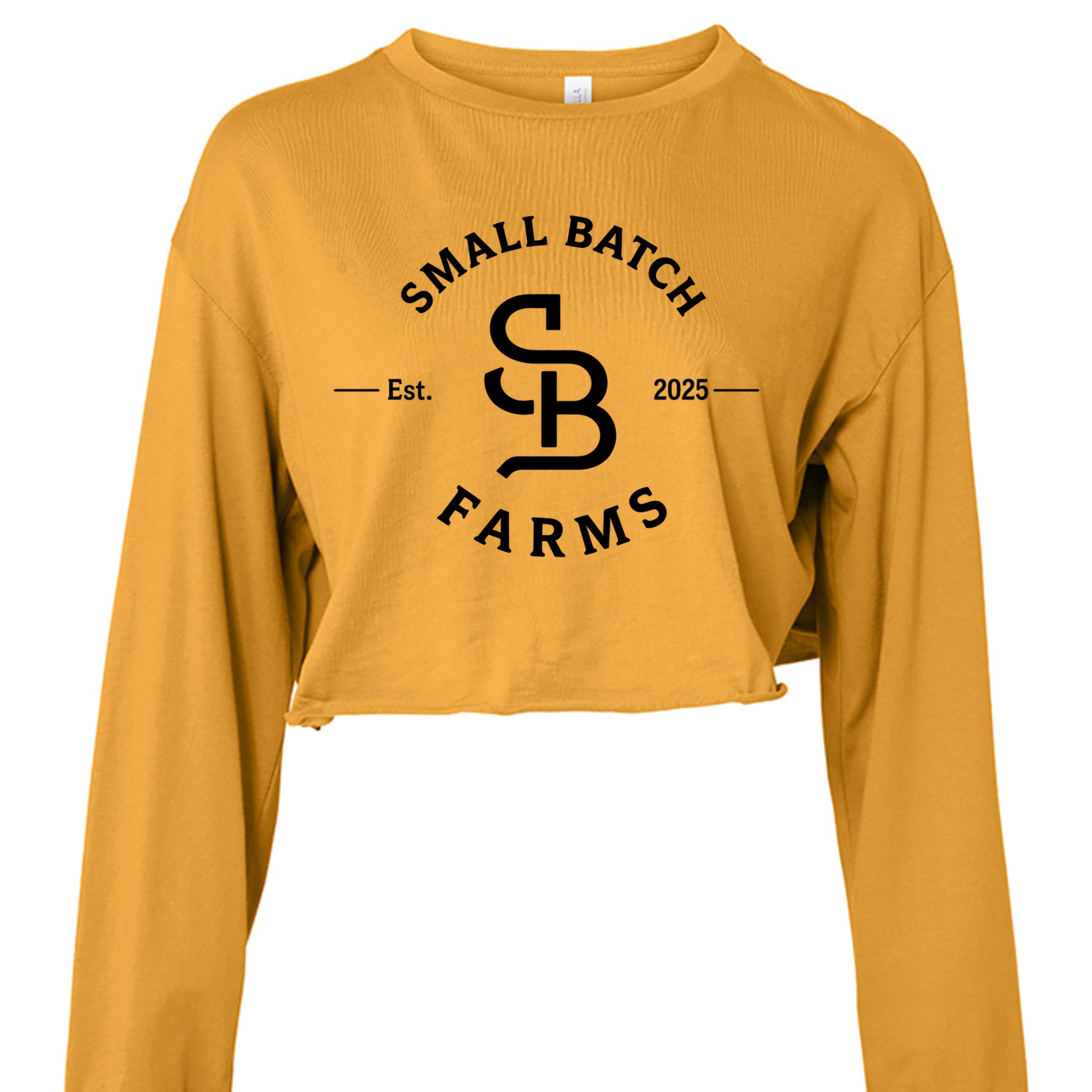 MUSTARD - 6501B - FRONT